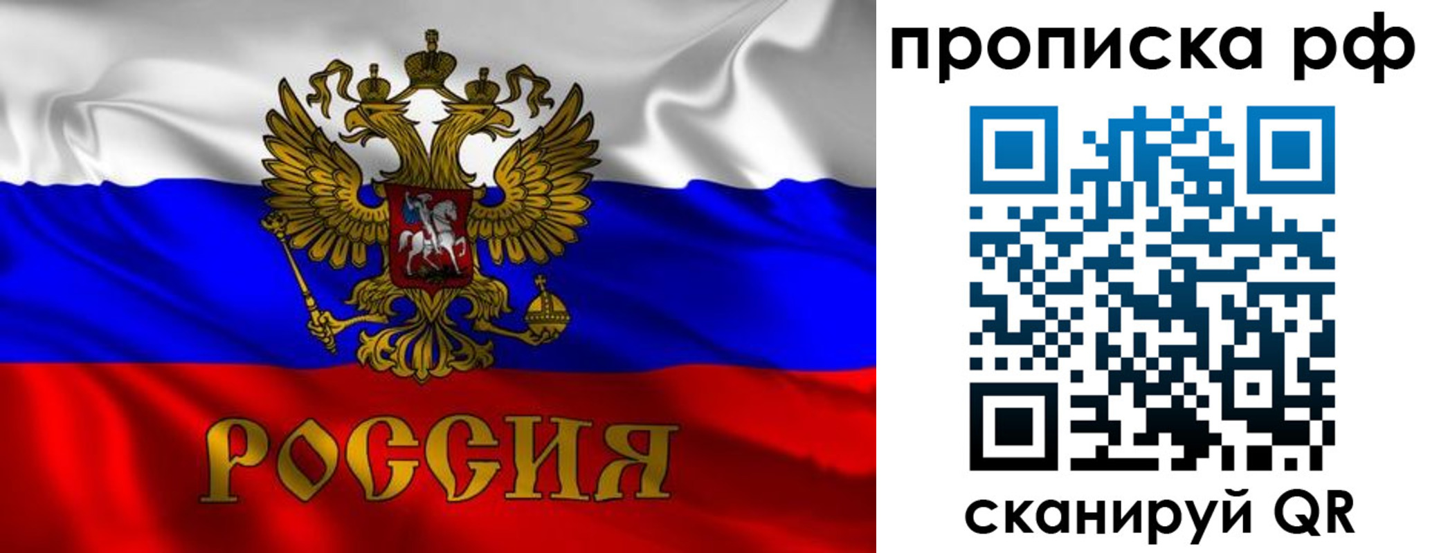 прописка 2025 в Зеленоградске